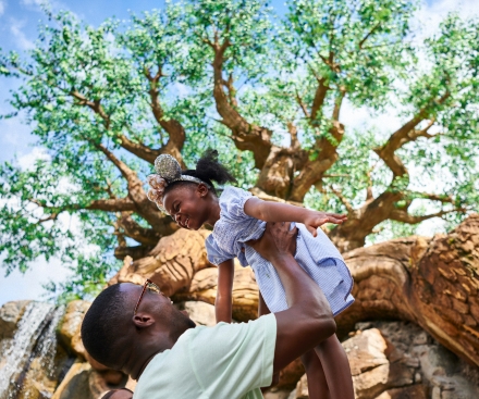 Booked Walt Disney World Resort?