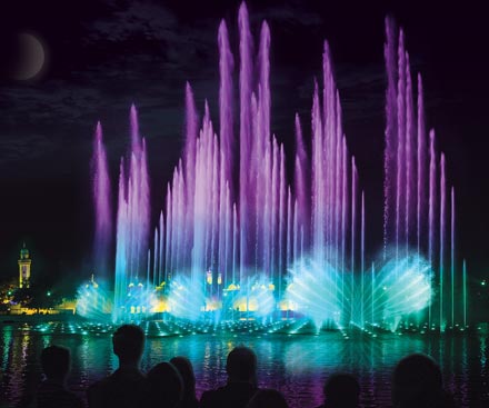 Shows & Entertainment