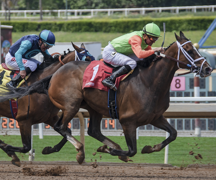 Ladies Day at Royal Ascot 2026