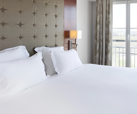 Executive Duplex Suite