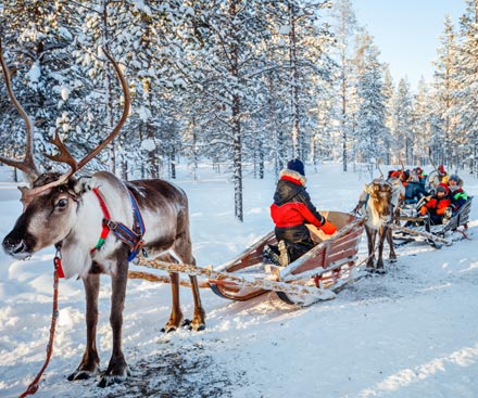 Santa's Lapland