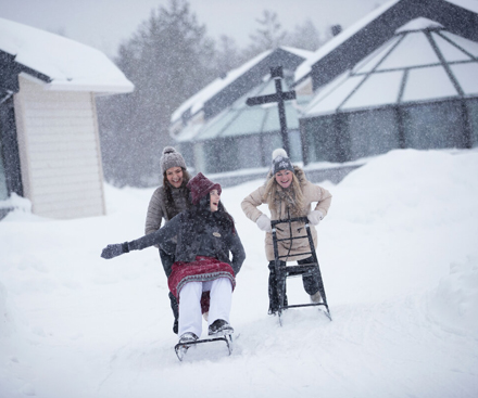 Golden Crown Glass Igloos & Aurora Cabins