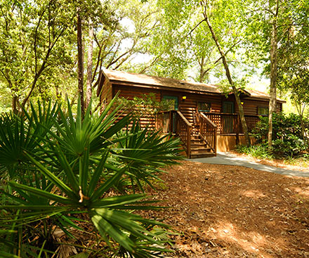 The Cabins at Disney's Fort Wilderness Resort