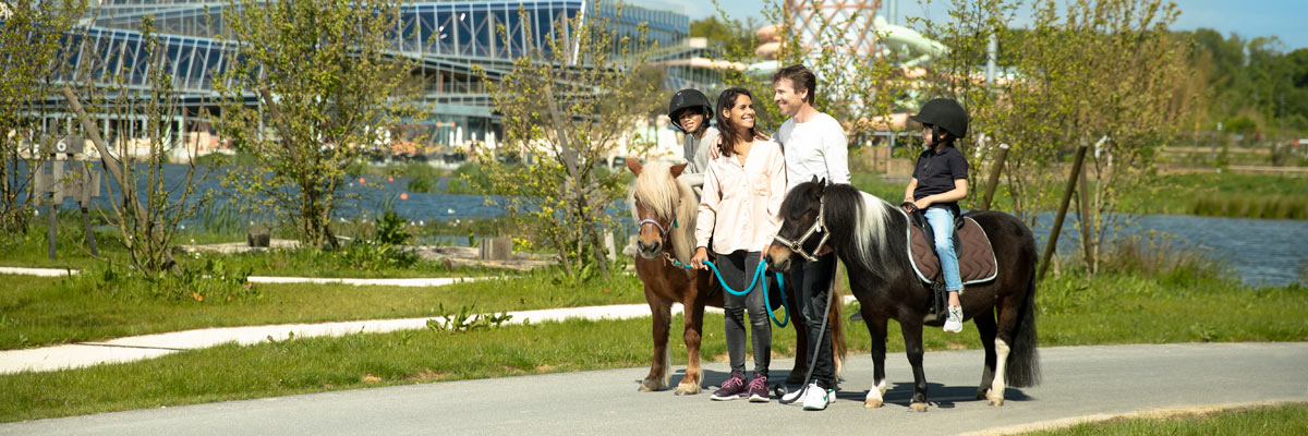 MagicBreaks lvnp 3 carousel banner