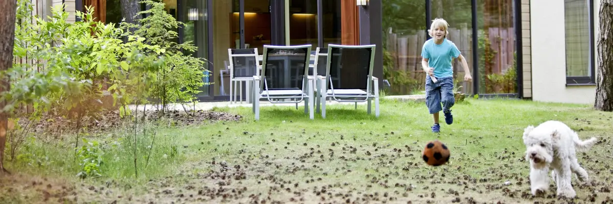 MagicBreaks On-site rules for Your Furry Friend carousel banner