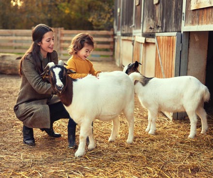 28th August 2026 - Summer Holidays!