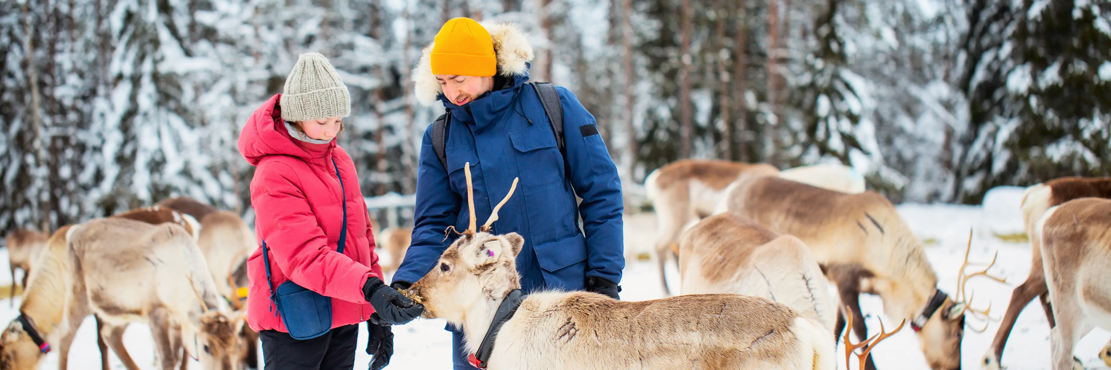 MagicBreaks  carousel banner