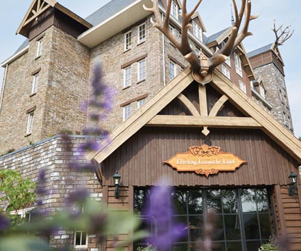 Efteling Hotel Loonsche Land