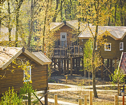 Themed Room Tree 4 Person