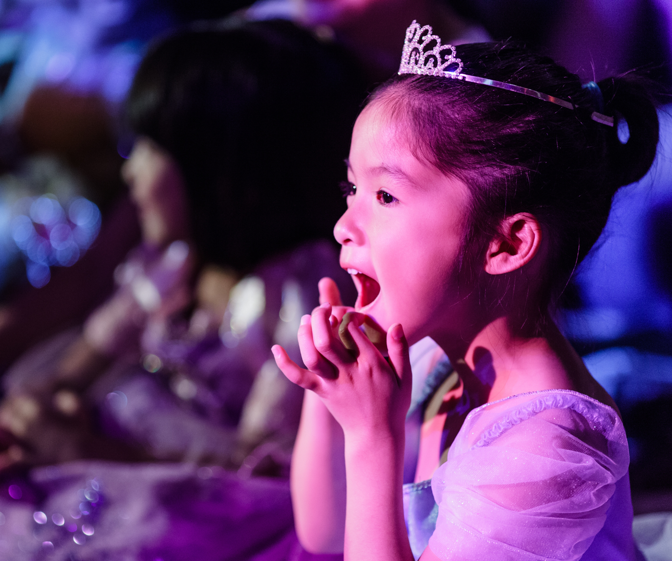 Disney Cascade of Lights