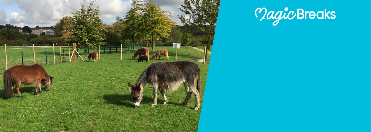 MagicBreaks Great family hotel special offer carousel banner