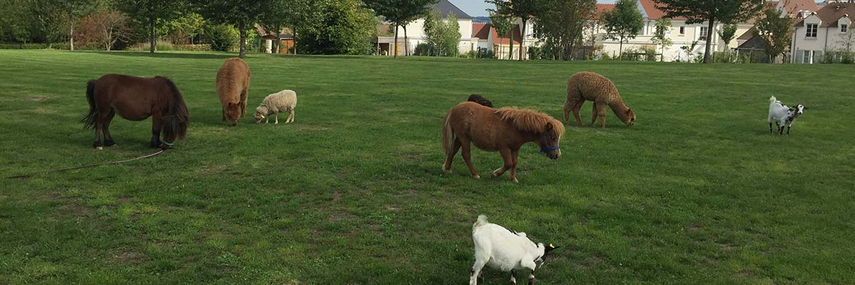 MagicBreaks Hotel Facilities carousel banner