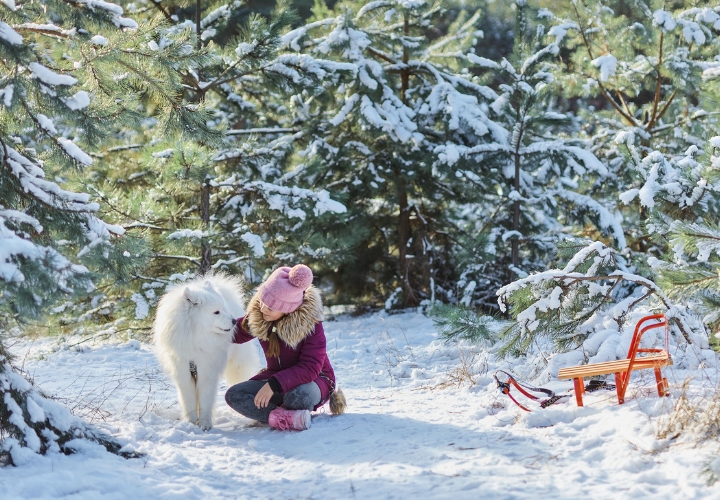 MagicBreaks 2-Night Lapland Adventure from £1189 per person! carousel banner