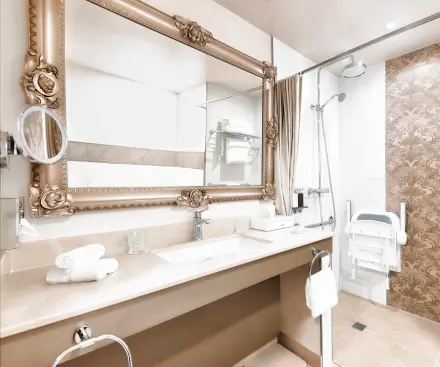 Adapted Superior Room