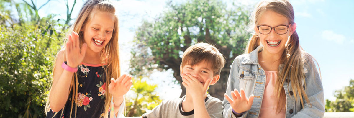 MagicBreaks  carousel banner