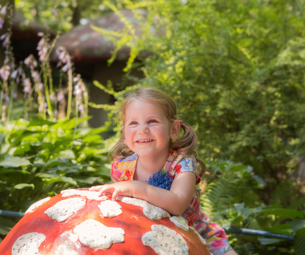 Reasons to travel by LeShuttle