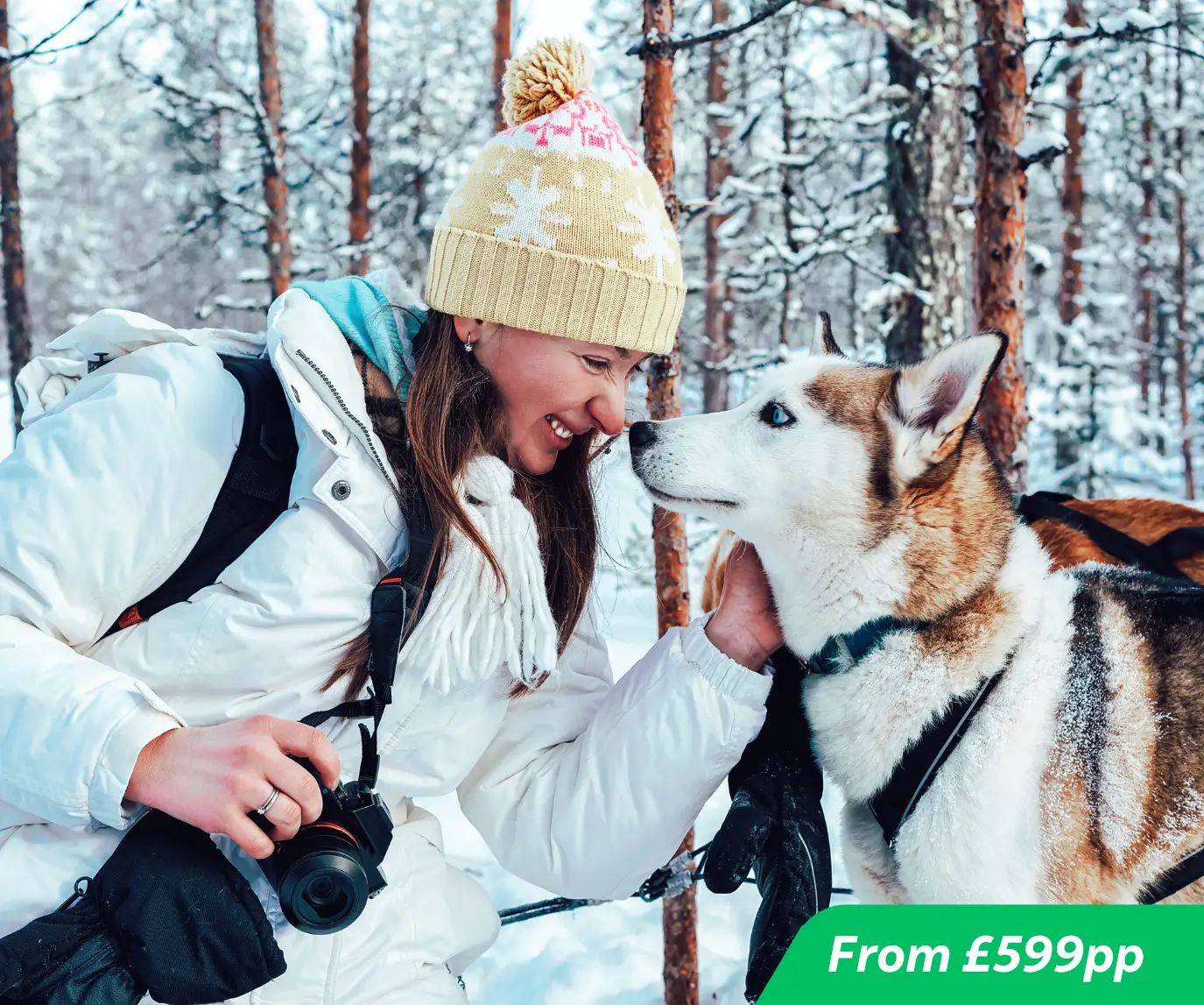 Lapland Day Trips 2026