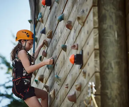 Wall Climbing