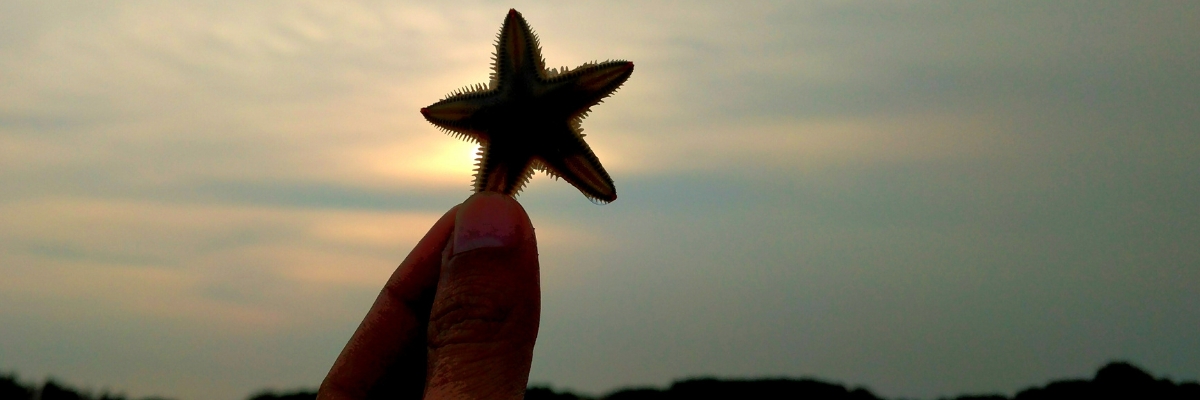 MagicBreaks MAGICSTARS VIP carousel banner