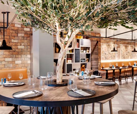 14 Night West Mediterranen Cruise