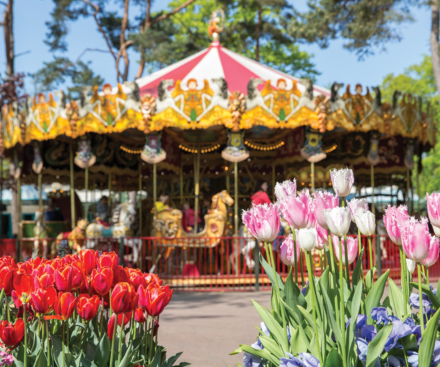 29th August 2026 - Summer Holidays!