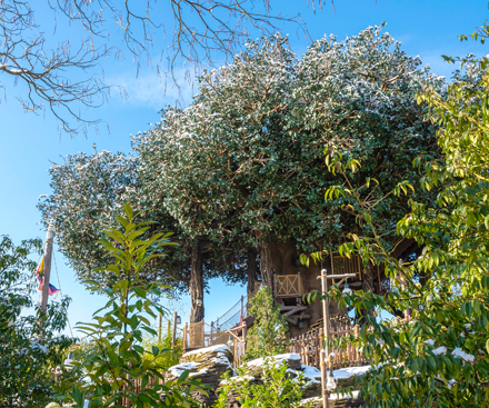 Colonel Hathi's Pizza Outpost