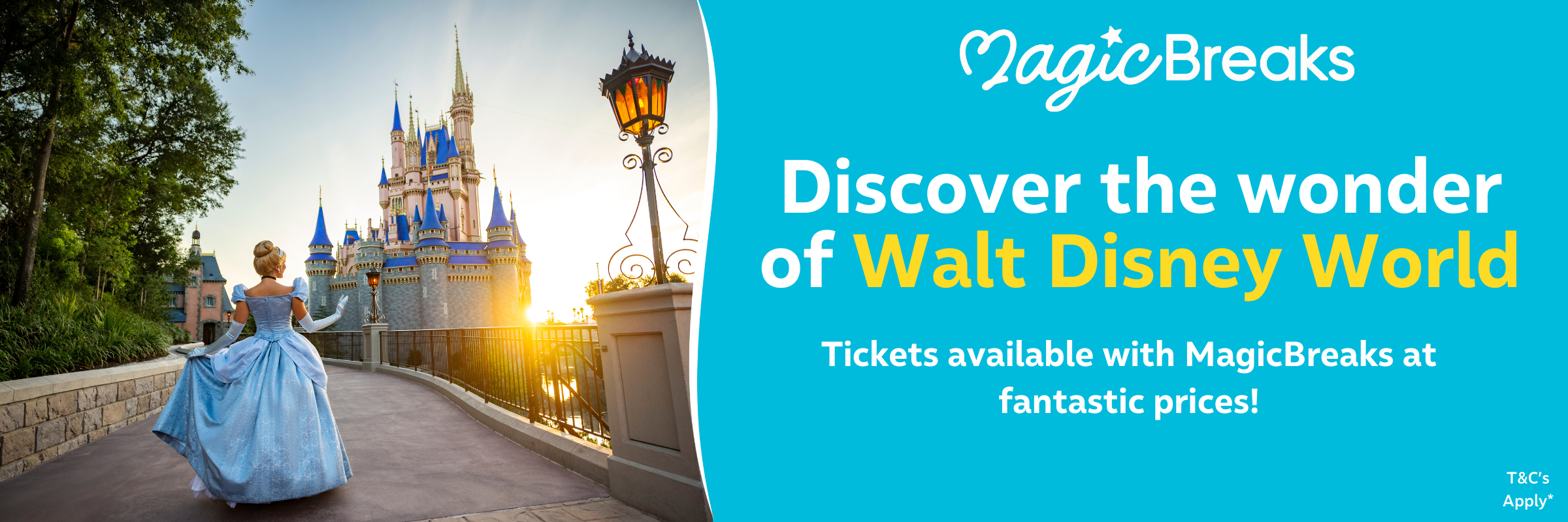 MagicBreaks WDW carousel banner