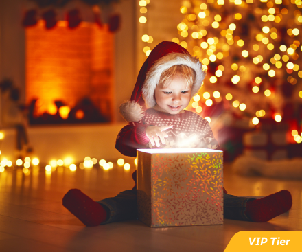 Exclusive Christmas Gift