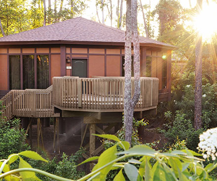 Treehouse Villa