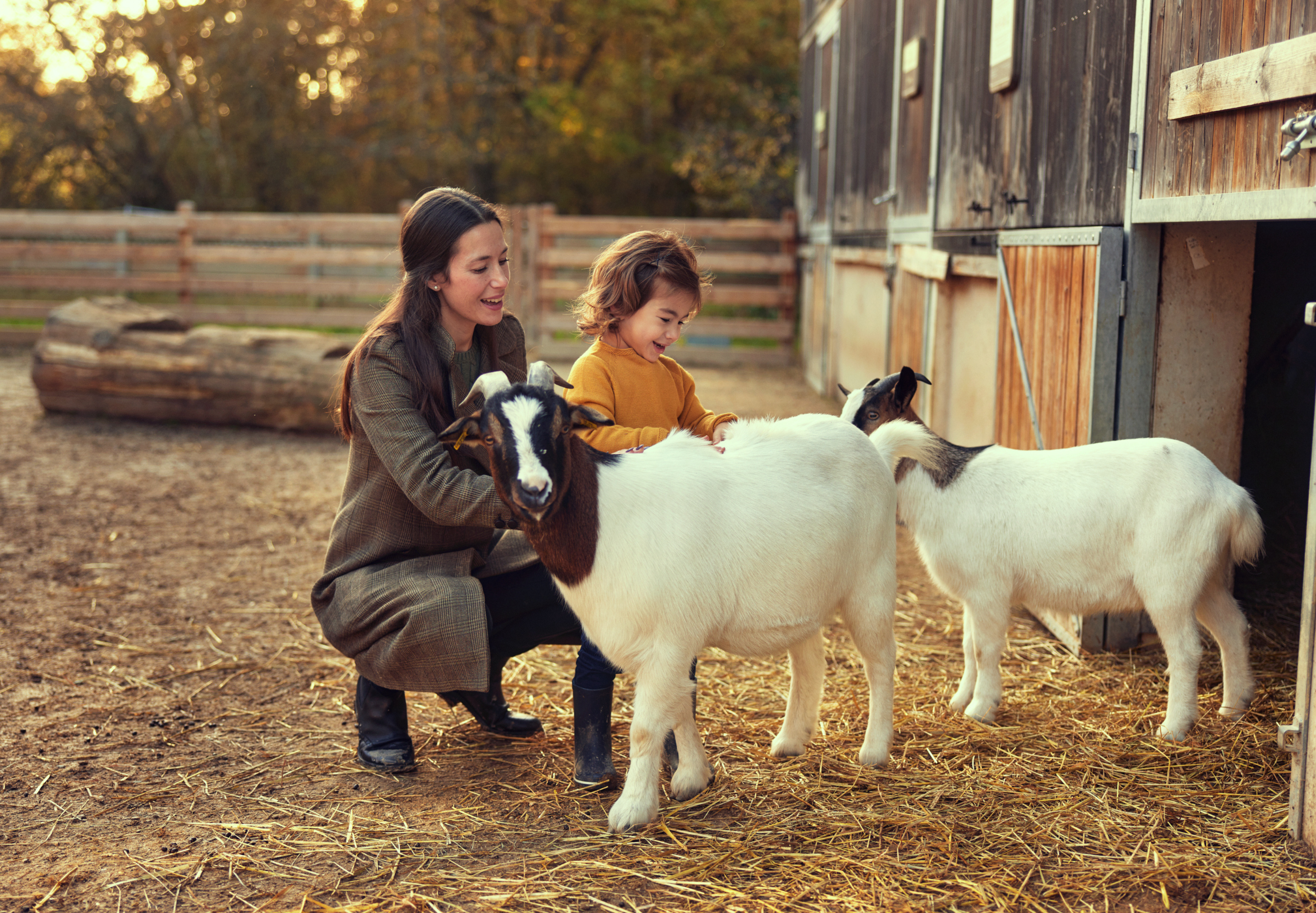 MagicBreaks Save up to 25% Off Center Parcs Europe Holidays carousel banner