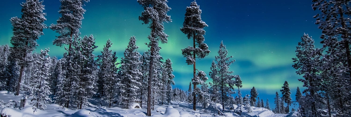 MagicBreaks Romantic Aurora Adventure carousel banner