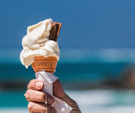 Torba in Bodrum Region - July 2022