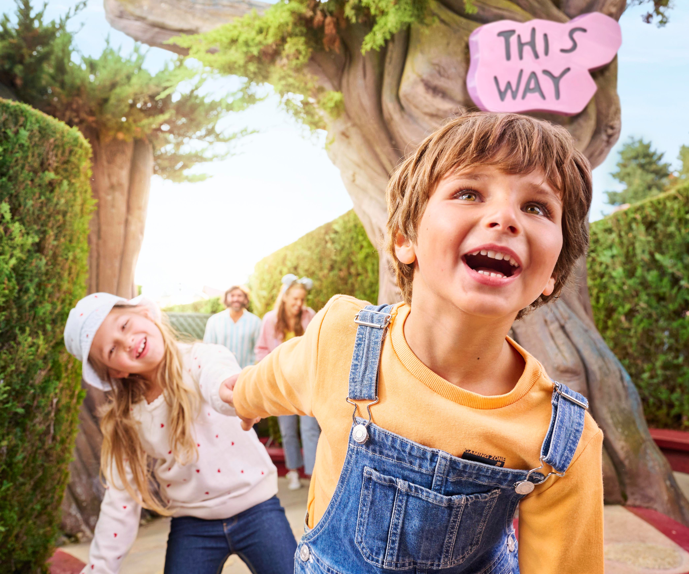 Alice's Curious Labyrinth