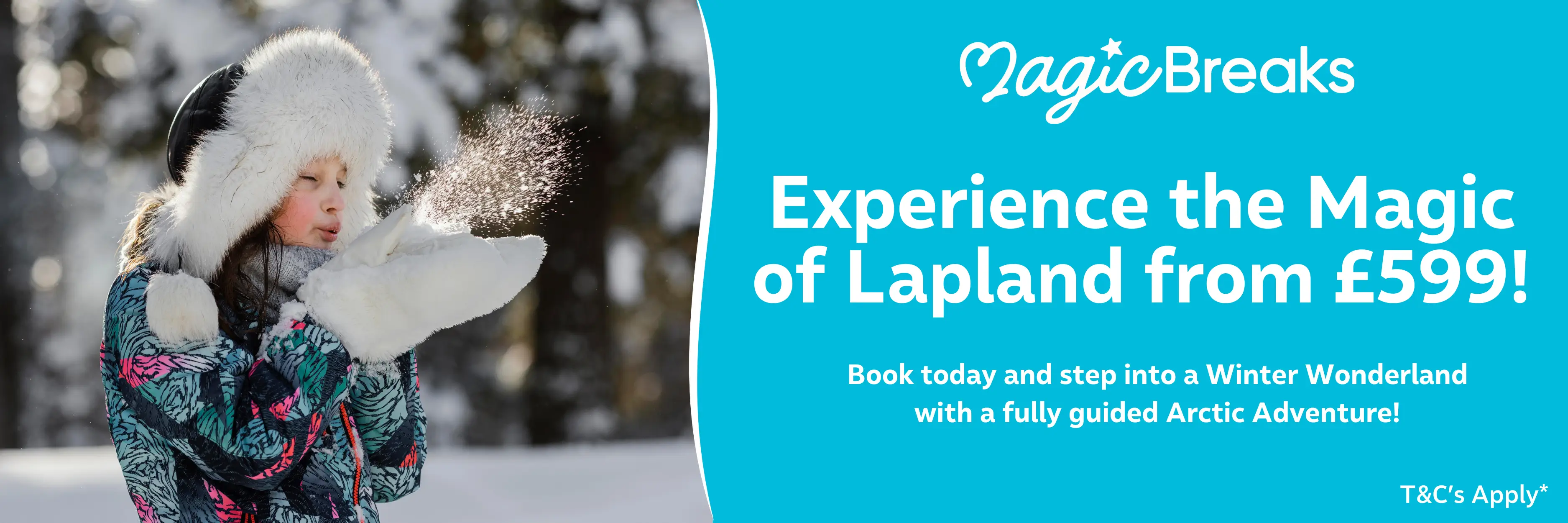 MagicBreaks Daytrip from £599 carousel banner