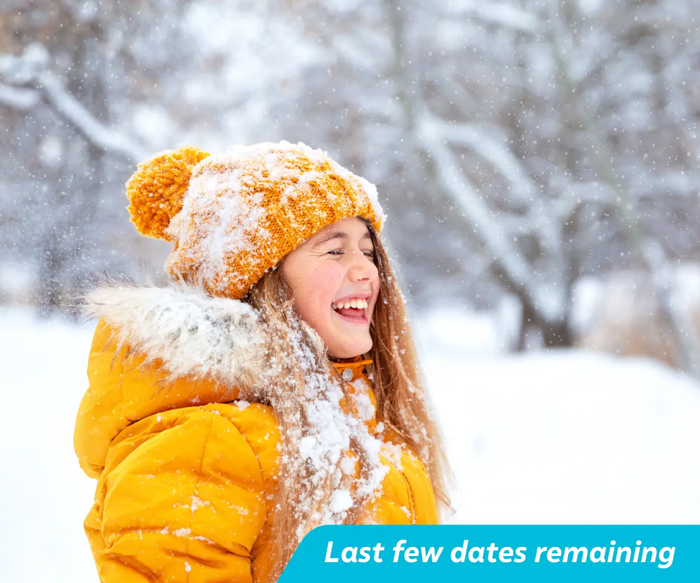 Lapland Day Trips 2025 