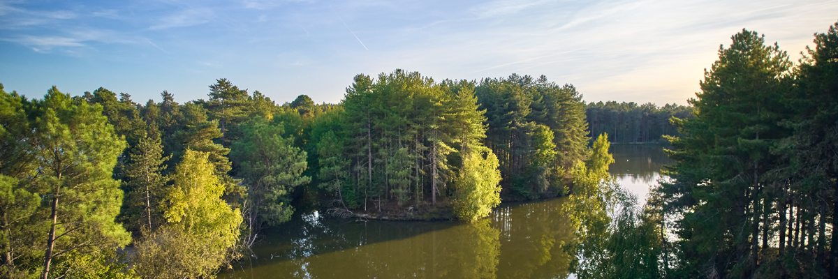 MagicBreaks Location carousel banner