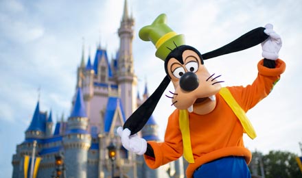 Walt Disney World 14-Day Magic Ticket