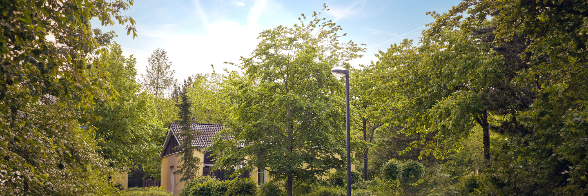 MagicBreaks Overview carousel banner