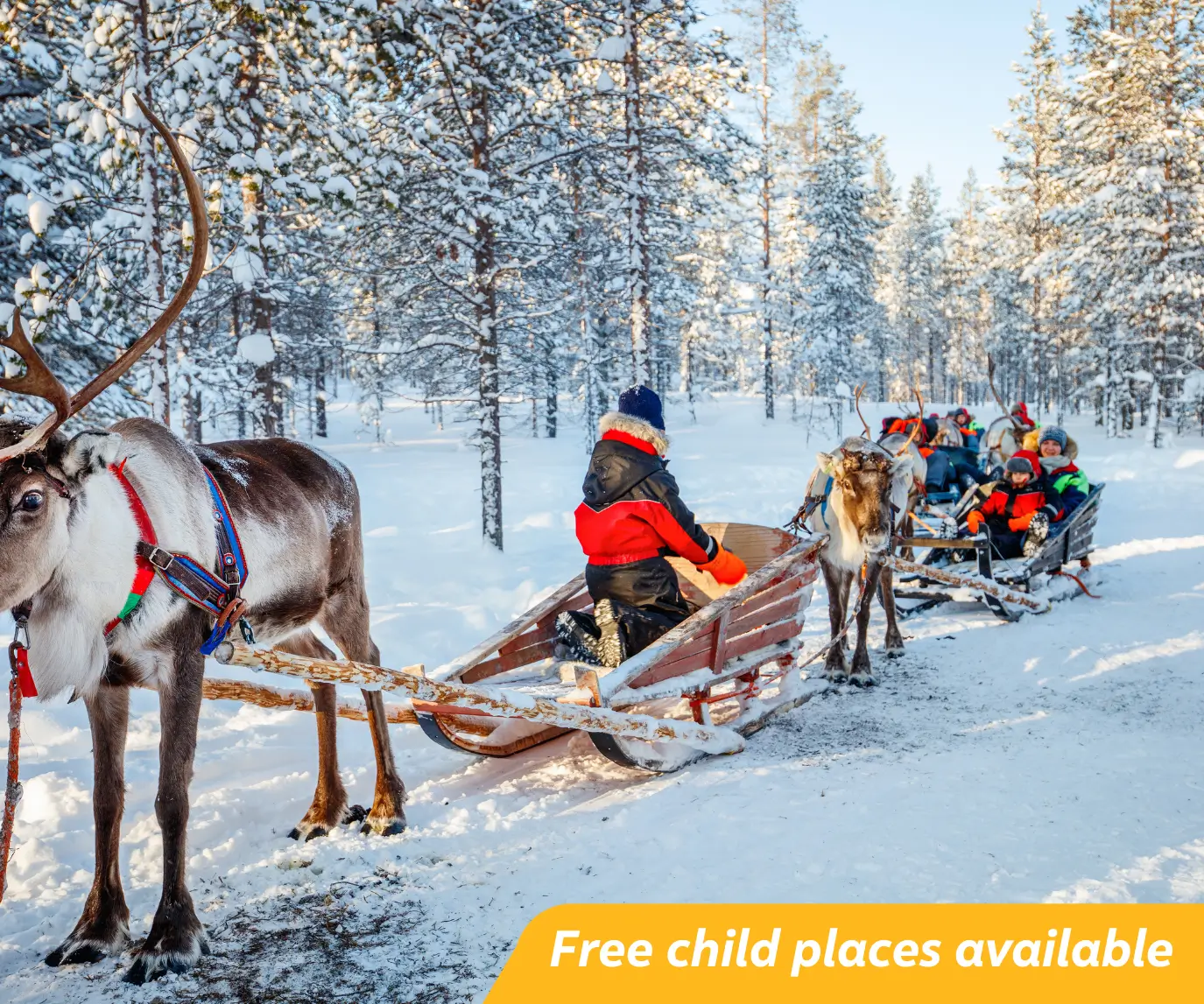 Lapland Holidays 2026 