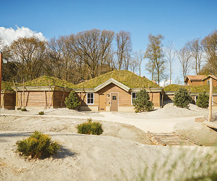 Holiday House 12 Person