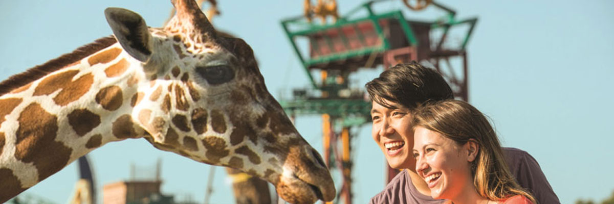 MagicBreaks  carousel banner