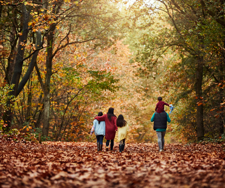 Netherland Resort Special Offers