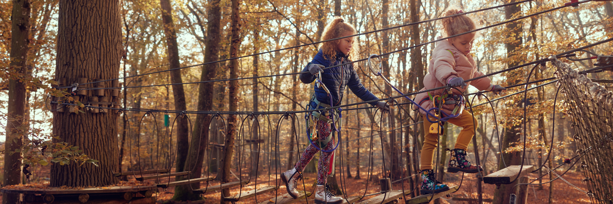 MagicBreaks lvnp forest carousel banner