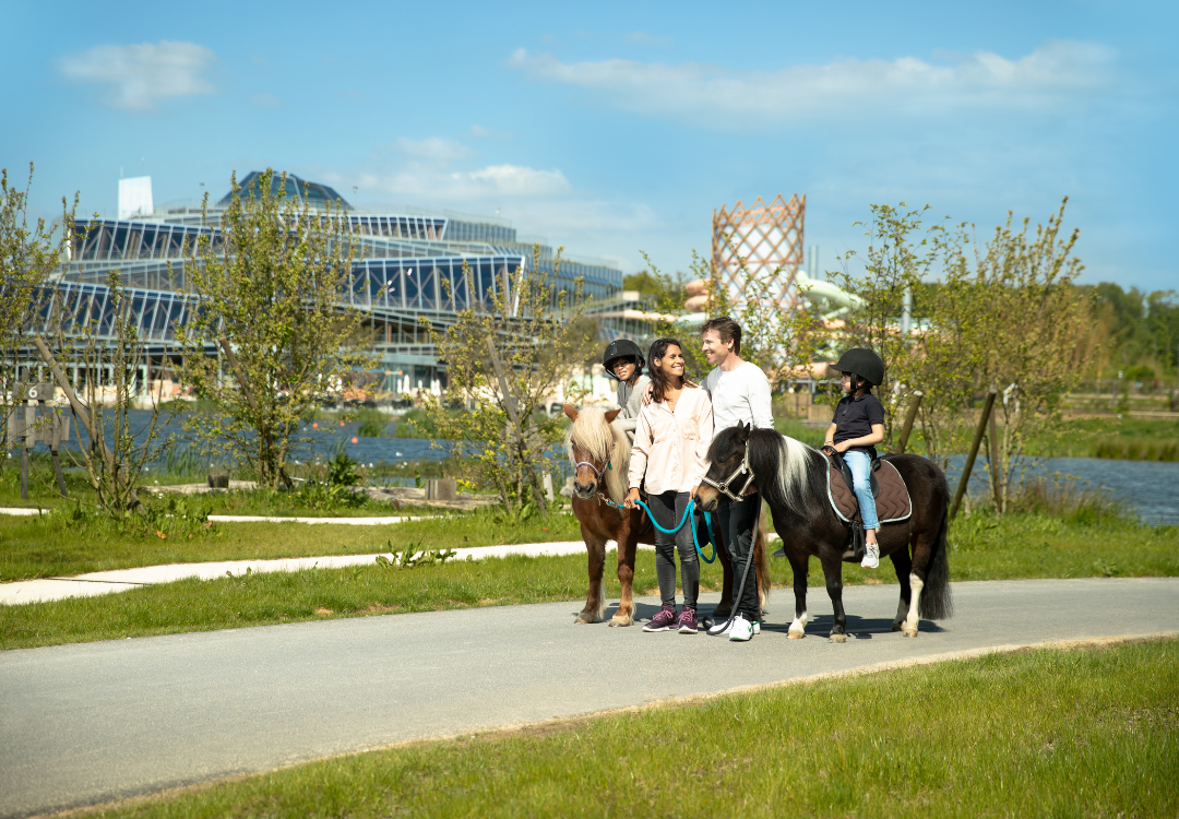 MagicBreaks Stay close to the magic of Disneyland® Paris carousel banner
