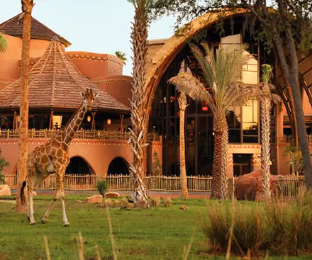 Disney's Animal Kingdom Villas - Jambo House
