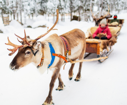 £100 off Lapland breaks!