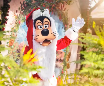 29th December 2025 - Christmas Holidays