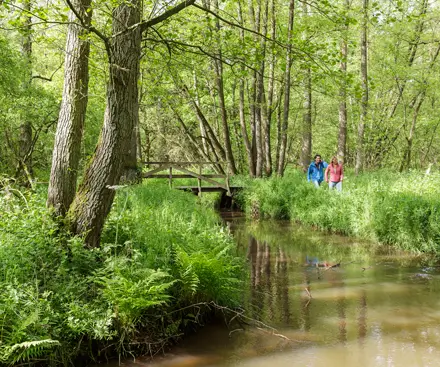 Explore Duinengordal