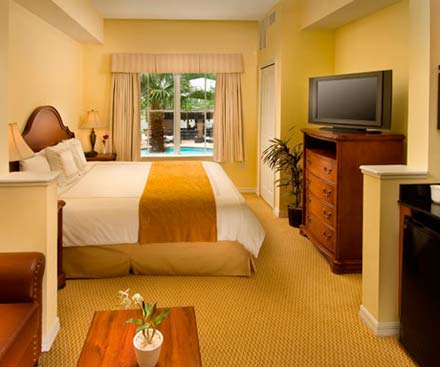 Executive Studio Suite