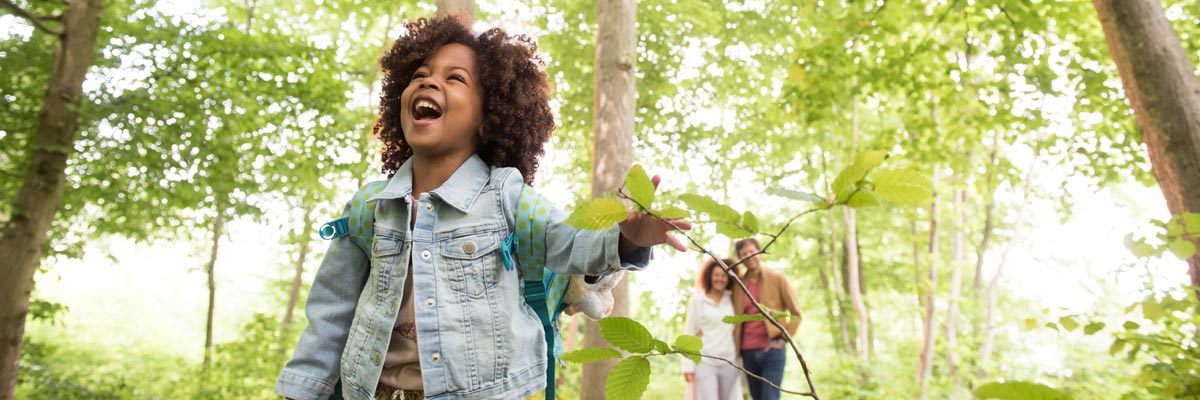 MagicBreaks davy crockett carousel banner